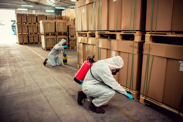 Best Affordable Pest Control Services  in Billings, MT