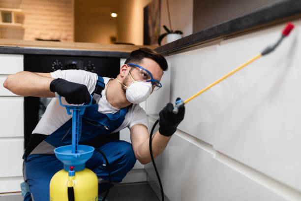 Best Local Pest Control Services  in Billings, MT