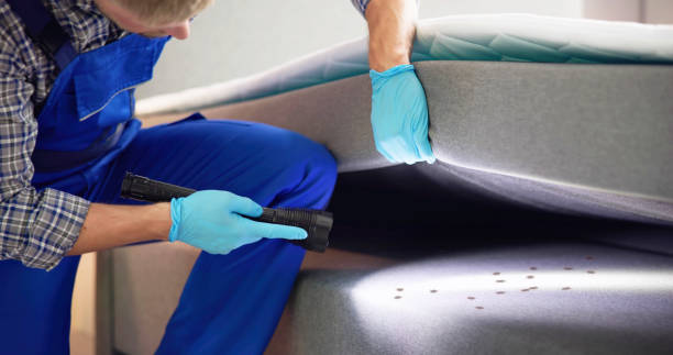 Best Best Pest Control Companies  in Billings, MT