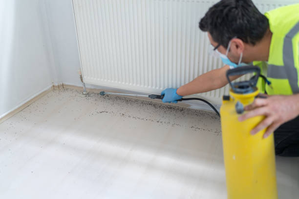 Best Local Pest Control Services  in Billings, MT