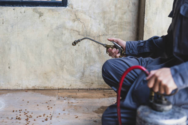 Best Pest Inspection Near Me  in Billings, MT
