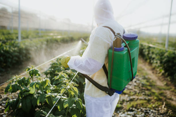 Pest Control Cost in Billings, MT